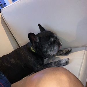 Meet your Posher, John